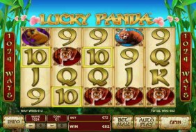Lucky Panda  -  Playtech
